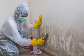 Best Real Estate Mold Inspection  in Glen Ellen, CA